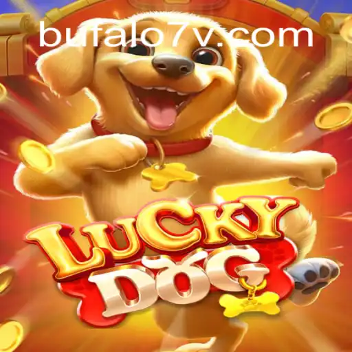 Desvendando o Mundo de LuckyDog: Experiência e Regras do Jogo